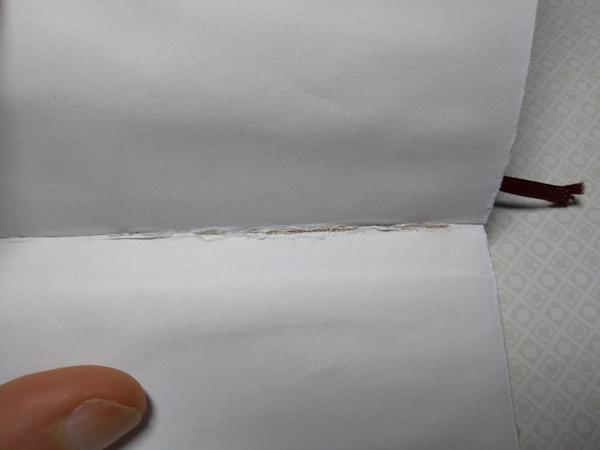 Notebook open; damage visible from the inside, between pages 2 and 3.